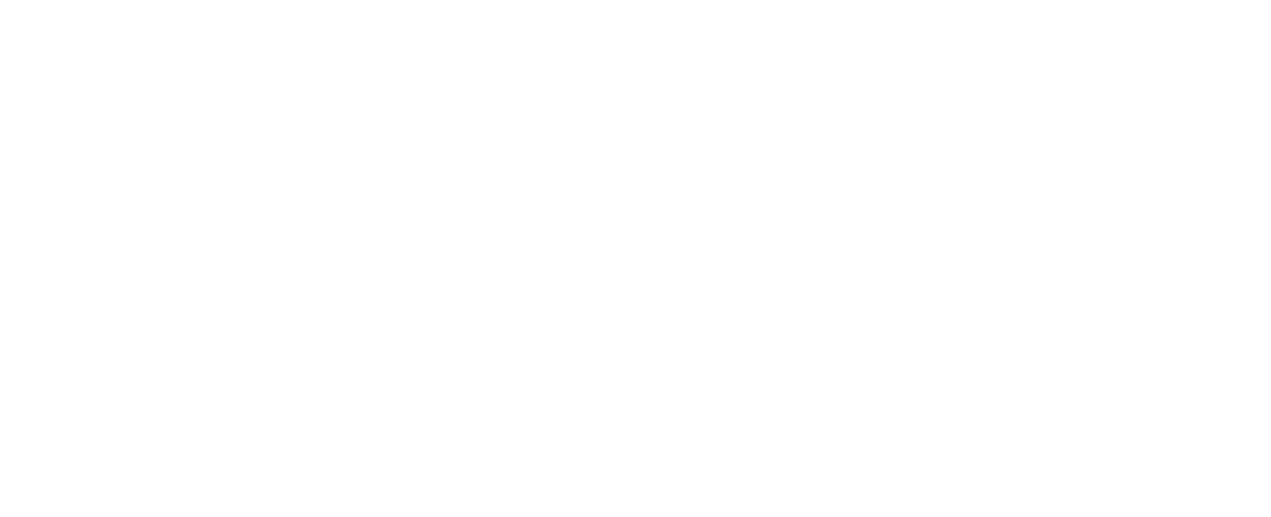 Tribeca Festival